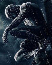 Spider-Man 3 (240x320)